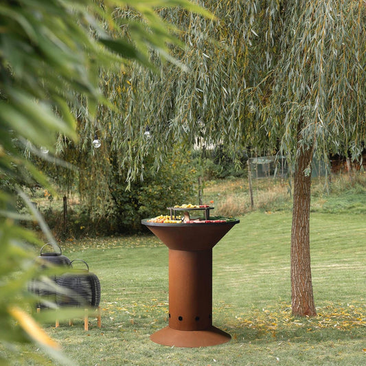 PLANCHA-BRASERO-BARBECUE : NOVEO 825mm